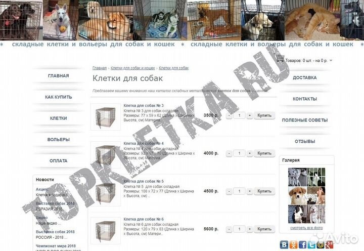 Доменное имя Topkletka.ru возраст 10 лет