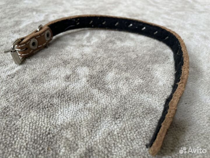 Ошейник миски для собак кошек аксессуары животных