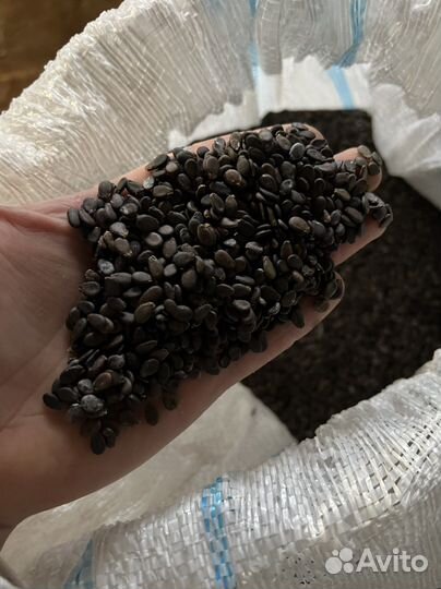 Семена арбуза