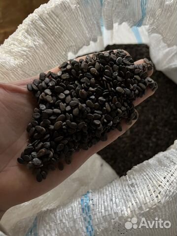 Семена арбуза