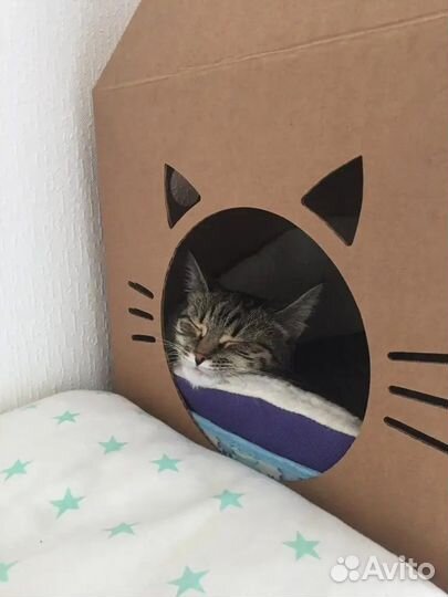 Домик для кошки картонный (цвет в асс.)