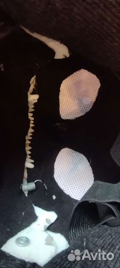 Раптор партиал