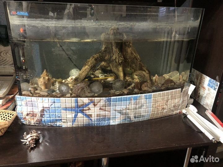 Аквариум