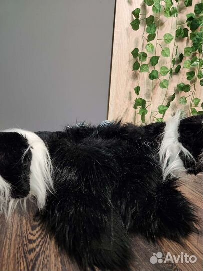 Маска раптора