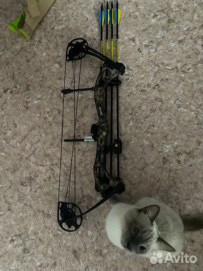 Лук блочный bear Apprentice 3 Realtree RTH