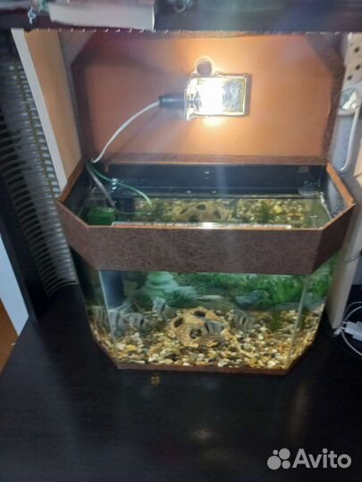 Аквариум полный комплект