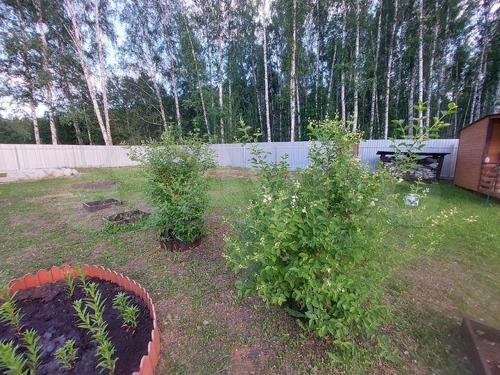 Участок 14 сот. (СНТ, ДНП)