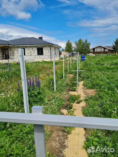 Шпалера садовая