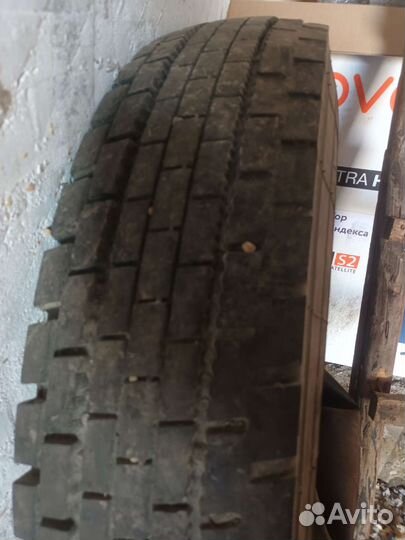 Резина автобус паз