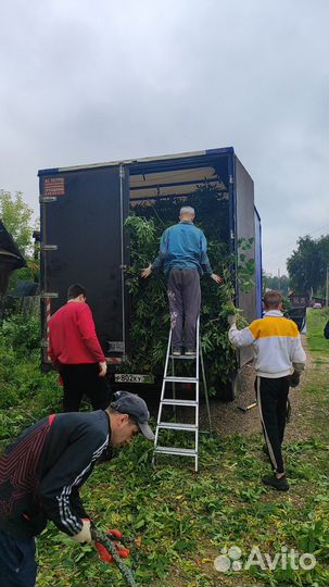 Расчистка участков демонтаж спил