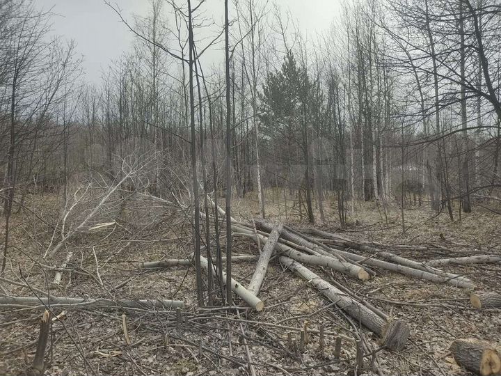 Участок 10 сот. (СНТ, ДНП)