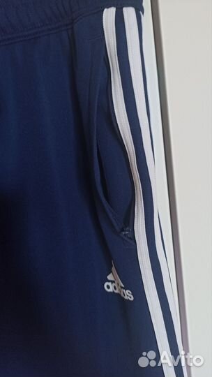 Лосины штаны