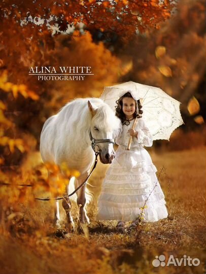 Конные прогулки,пони,фотосессия