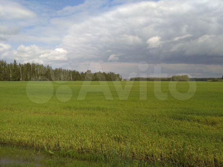 Участок 1,2 га (СНТ, ДНП)