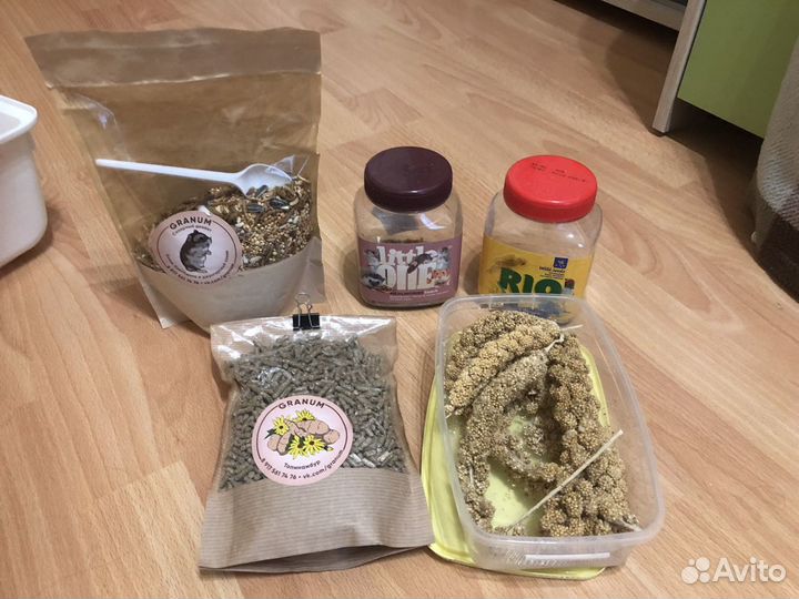 Клетка дюна для хомяка с наполнением
