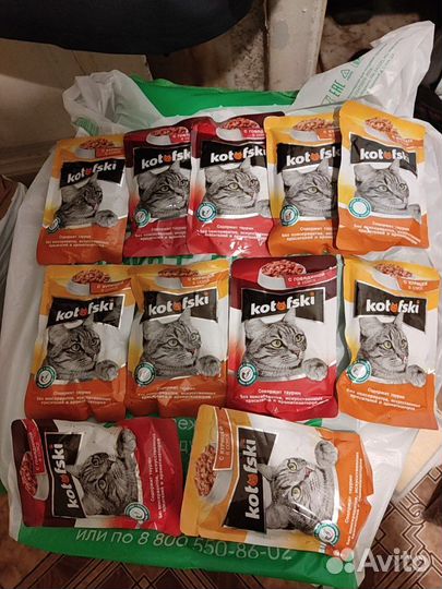 Корм для кошек