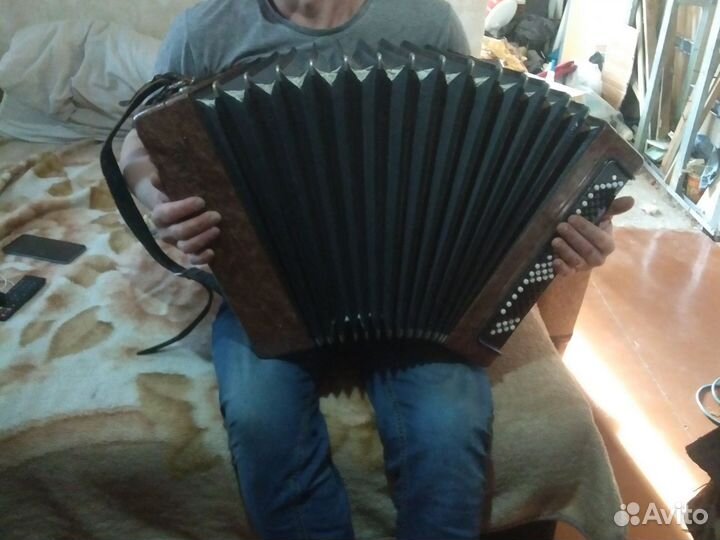 Баян тула 202