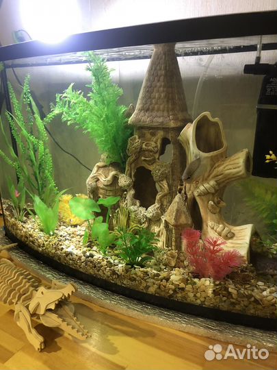Аквариум