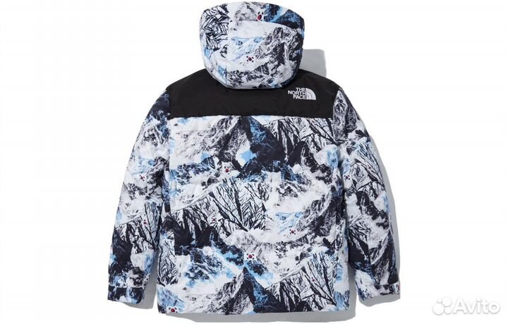 THE north face Jacket Men Multicolor (S)(90)