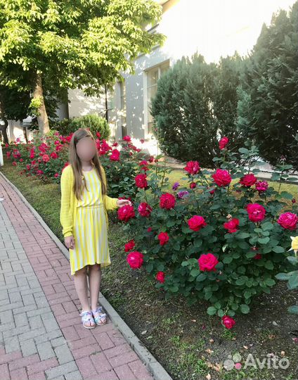 Вещи на девочку пакетом на рост 146-152