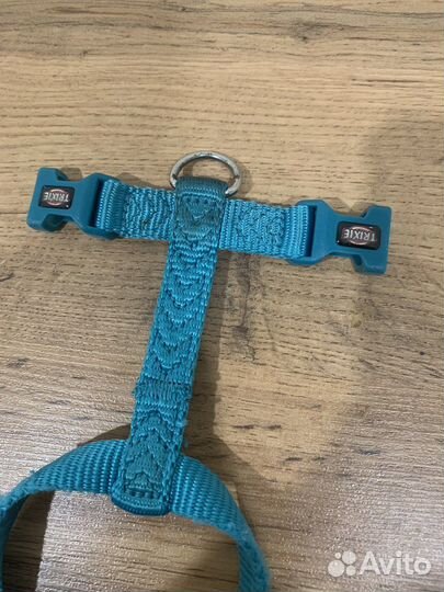 Амуниция для собак