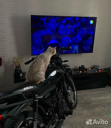 Racer Alpha