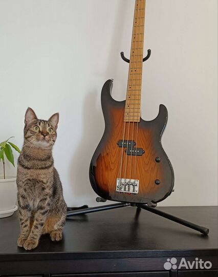 Прес бас гитара