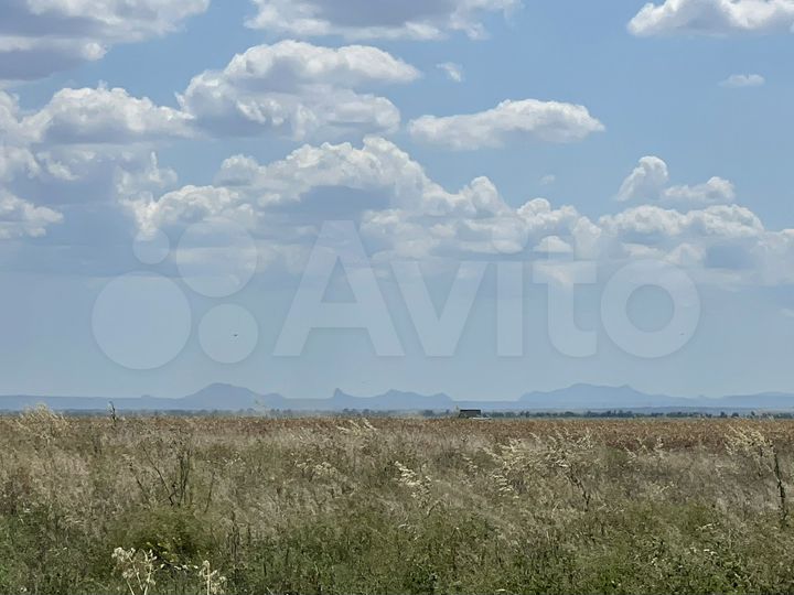 Участок 2 га (СНТ, ДНП)