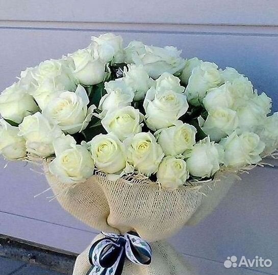 Высокие розы Гигантские розы Доставка цветов