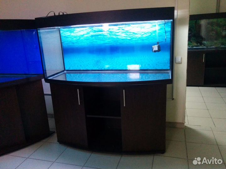 Аквариум 400 полукруглый, биофильтр, свет, тумба