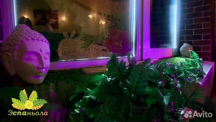 Спа программы на одного и двоих