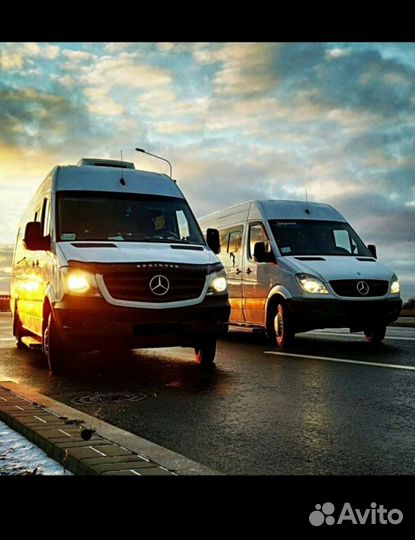 Пассажирские перевозки / Трансфер /Аренда