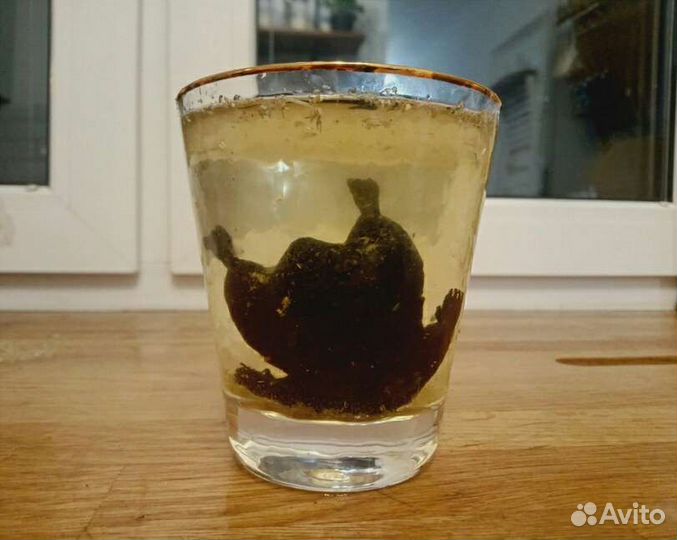 Кротовуха мем