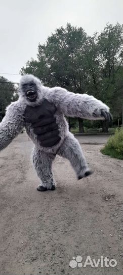 Поздравление в Кургане. Орангутанг на праздник