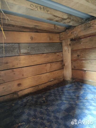 Собачья будка