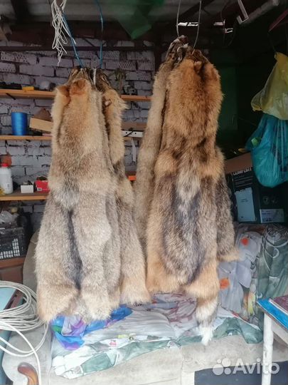 Выделка шкур