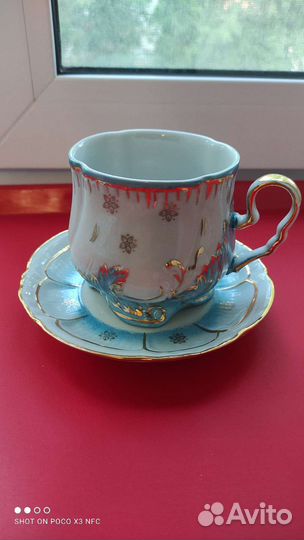 Чайная пара вербилки