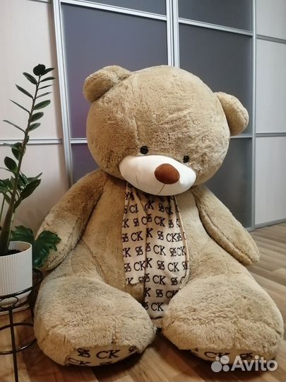 Плюшевый медведь б/у