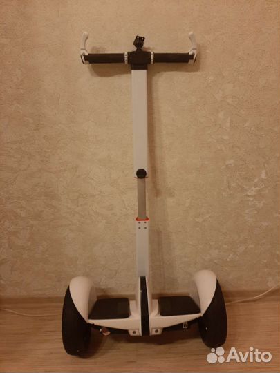 Сигвей новый