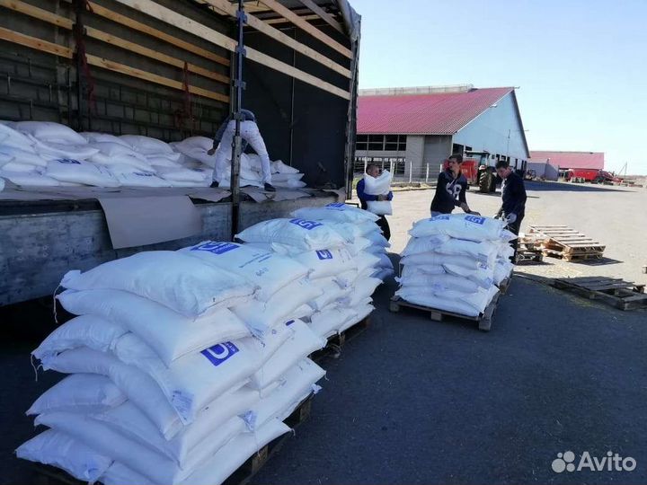 Вывоз мусора, демонтаж, разнорабочие