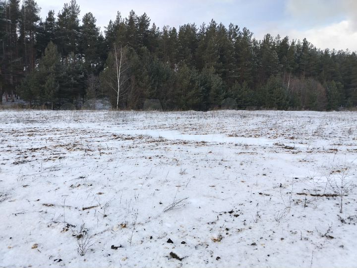 Участок 15 сот. (ИЖС)