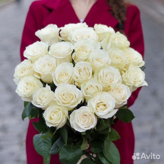 25 роз Эквадор. Доставка цветов