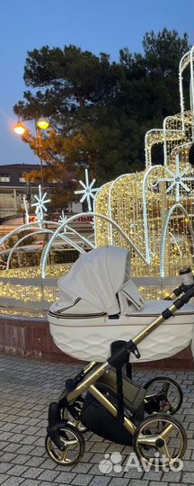 Коляска 2 в 1 adamex chantal