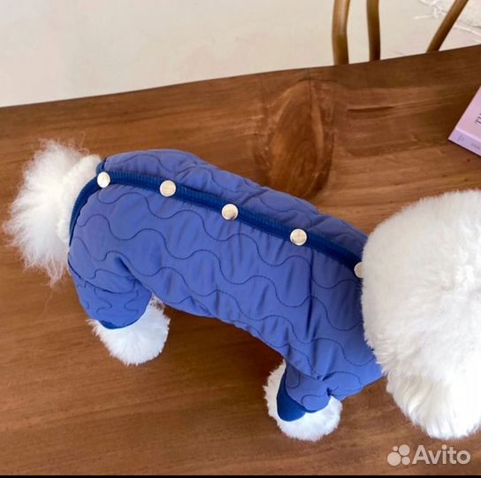 Комбинезон для собаки