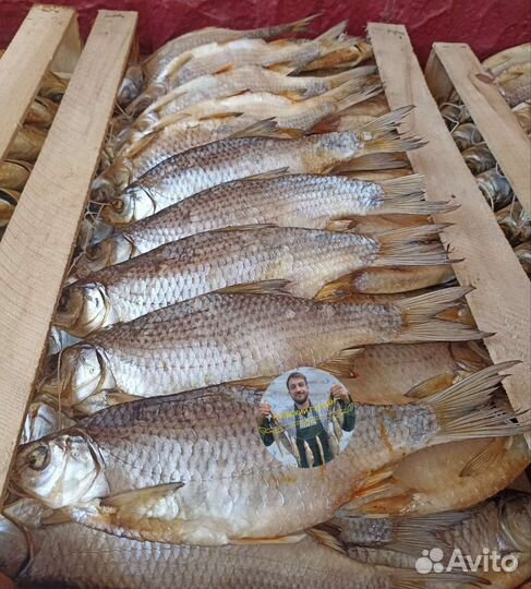 Огромная тарань икряная