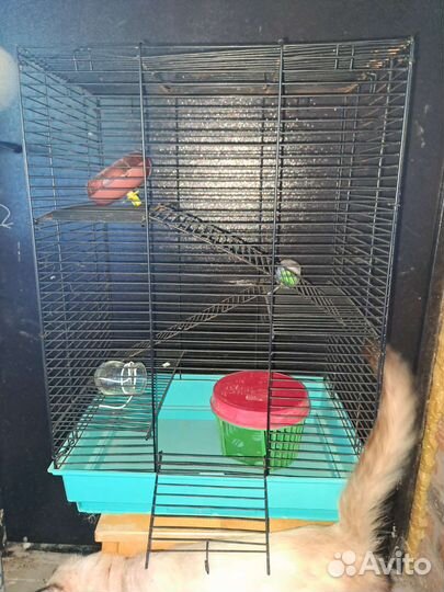 Клетка большая 4х этажка для животных. Грызунов