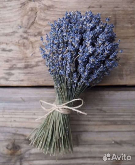 Букет из лаванды
