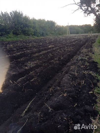 Грунт плодородная земля