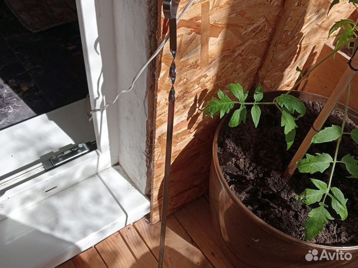 Набор шампуров