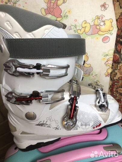 Горные лыжи